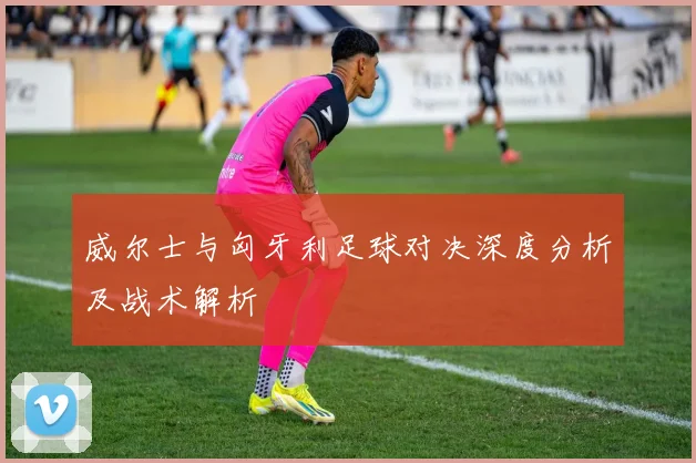 威尔士与匈牙利足球对决深度分析及战术解析