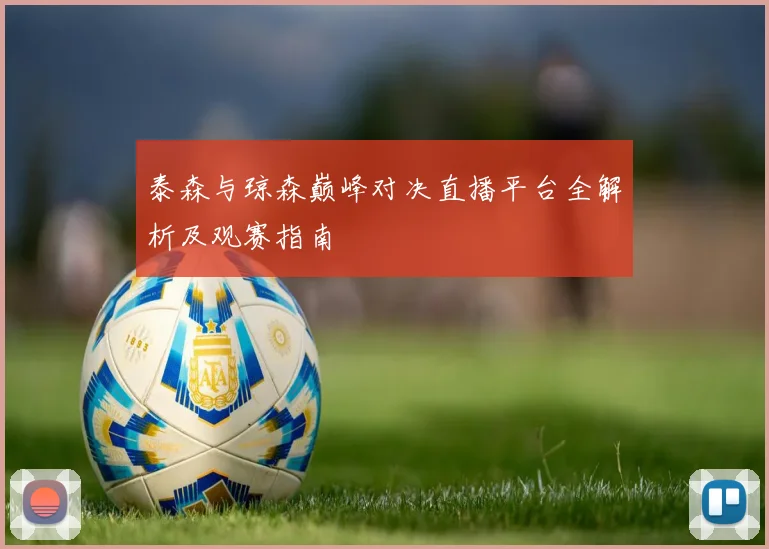 泰森与琼森巅峰对决直播平台全解析及观赛指南