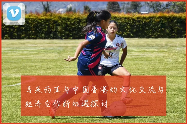 马来西亚与中国香港的文化交流与经济合作新机遇探讨