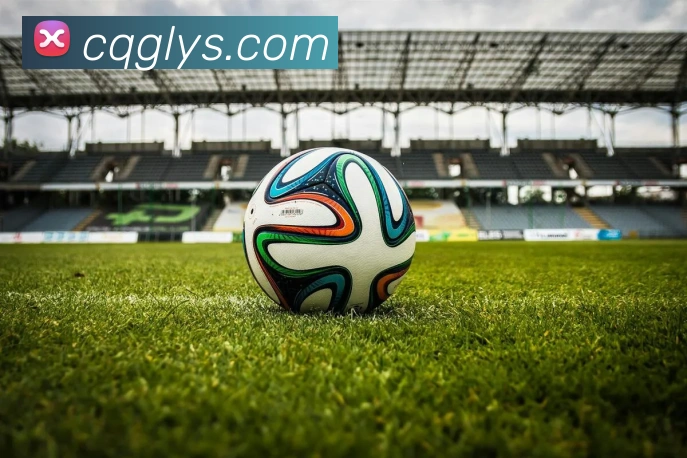 完美电竞服务体系